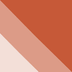 Cafe Studios Design - Portfolio - Colour Scheme 1 - EAS